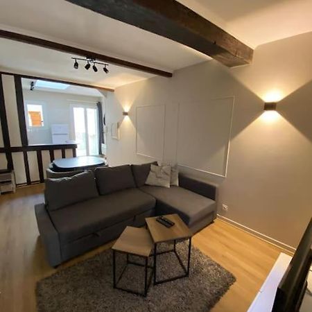 Appartement Charmant Hypercentre Avec Patio Prive Et Parking 奥尔良 外观 照片