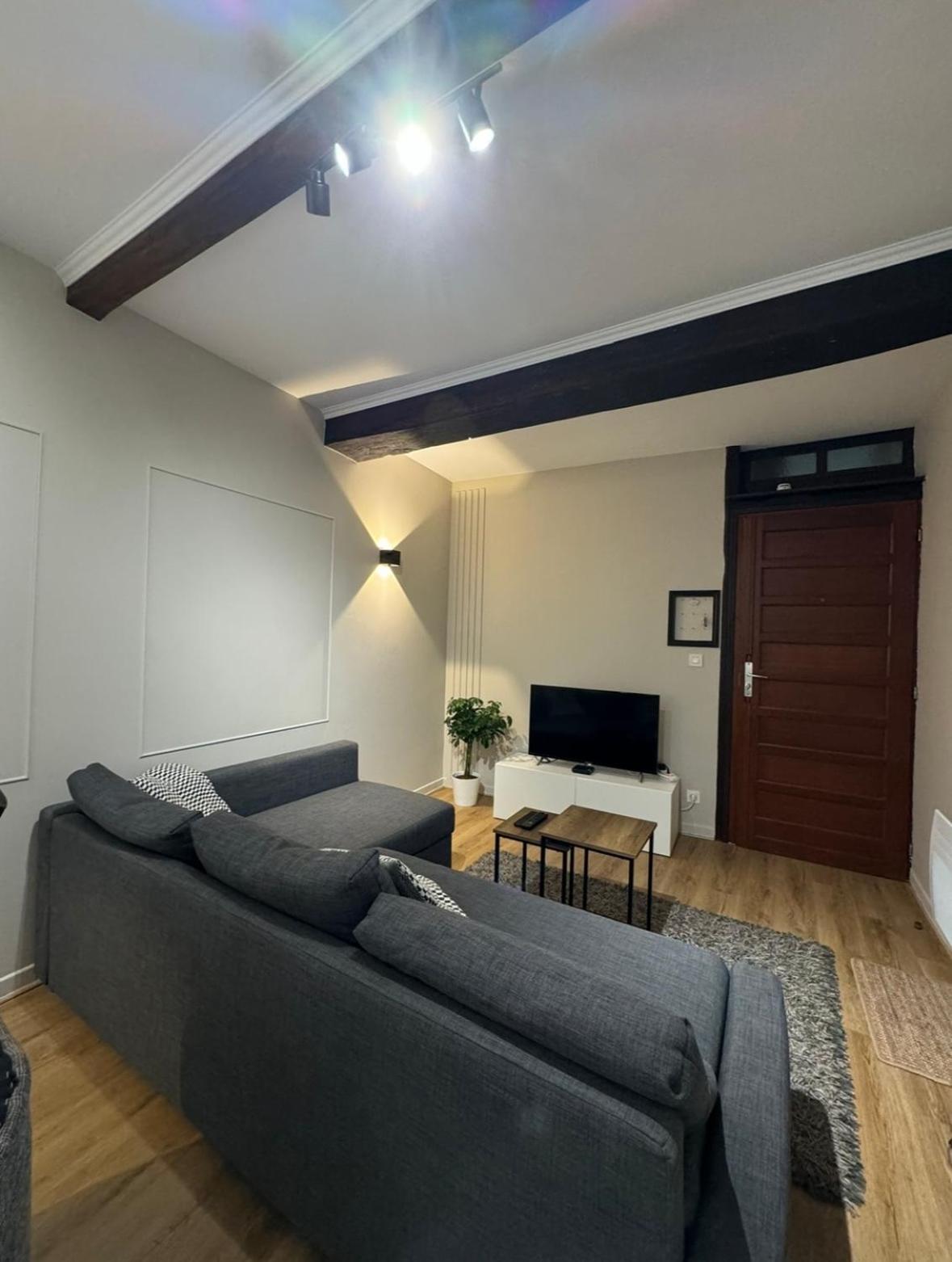 Appartement Charmant Hypercentre Avec Patio Prive Et Parking 奥尔良 外观 照片